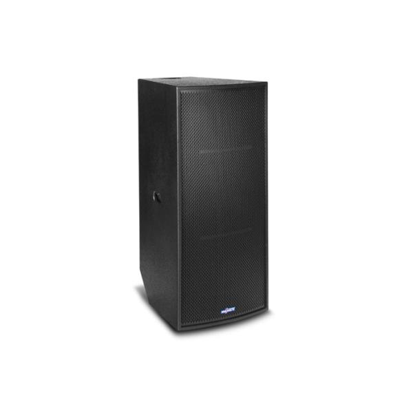 double 15 inch pro 2 way loudspeaker system T215BII