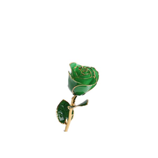 Gold Plated  Rose Preserved Fresh Flower  Wholesale Preserved Rose Manufacture Directly Supply for Christmas Valentine Day Gift