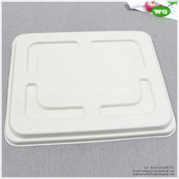 5 Compartments Unbleached Bagasse Tray-China Factory Offer Eco-friendly Fast Food Box Container Tray for Hot Foods