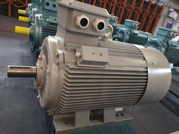 o pé trifásico do motor elétrico 15HP 400V da indução da C.A. 11kw montou
