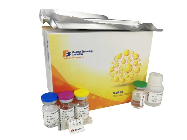 96 Wells Customized Human Corticotropin Releasing Hormone CRH ELISA Kit