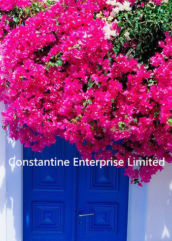 230gsm glossy inkjet photo paper