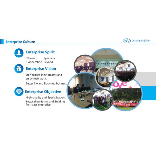 Suzhou Meilong Rubber and Plastic Products Co., Ltd.