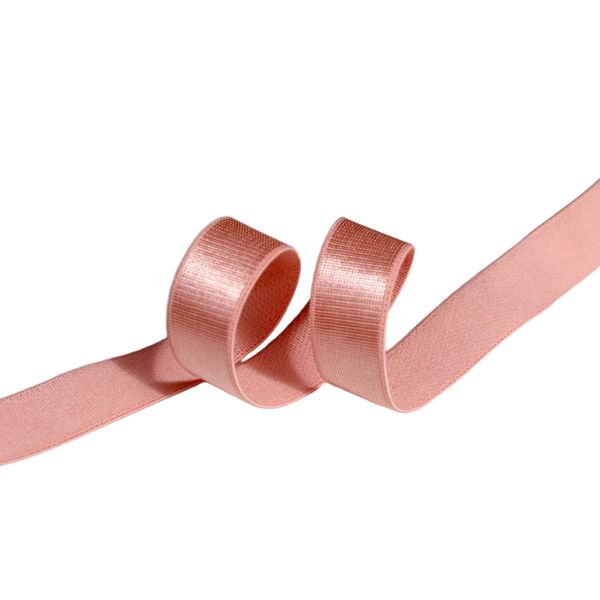 DANSKY High Quality Nylon Shiny Stain Bra Elastic Webbing Strap Elastic Band for Women Bra