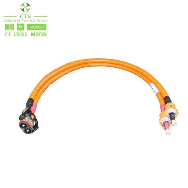 CTS Industrial Wiring Harness for Motorcycle Auto Electric Vehicle High Voltage Power Cable