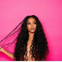 Cheveux profonds Preplucked Remy de la vague 13x4 de perruque frontale transparente de dentelle de HD