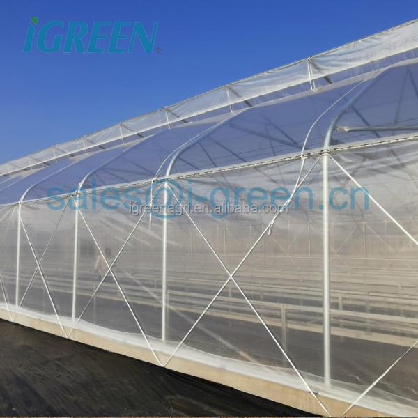 Strong Frame Greenhouse with Hot Dipped Galvanized Steel Structure and Film Cover