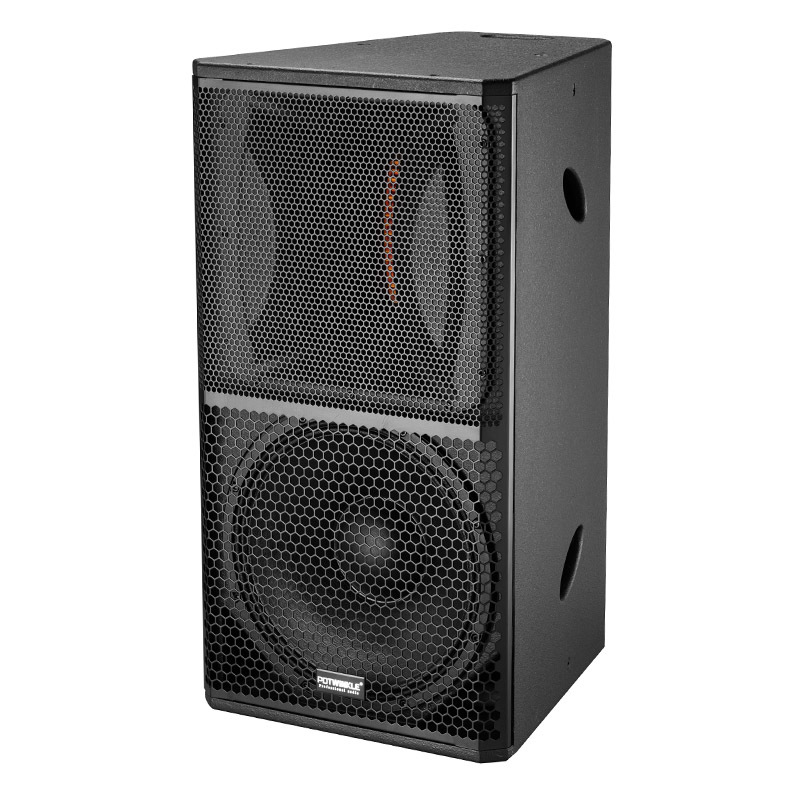 D15 Single 15 Long-throw Loudspeaker outdoor performance speaker