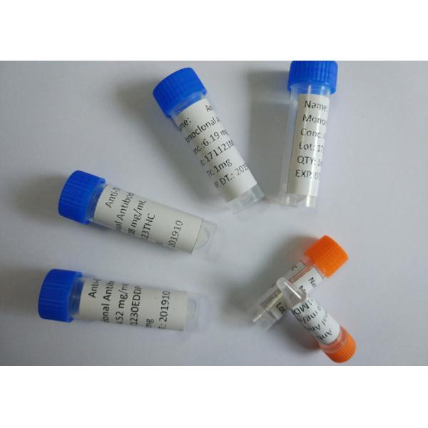 Очищенная анти--Фенсиклидине медицина ПКП-БСА моноклонального антитела мыши