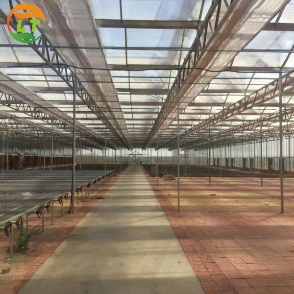 Large Polycarbonate Greenhouse for Vegetable and Flower Cultivation