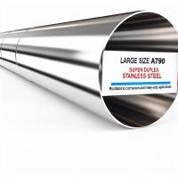 Acier inoxydable super duplex A790 de grande taille résistant à la corrosion et à l'érosion pour les applications lourdes