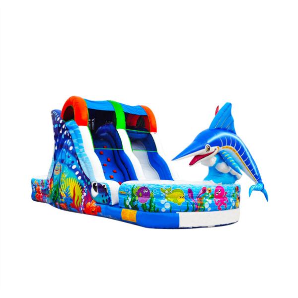 Ocean Amusement Parks  And Backyard Parties Inflatable Slides