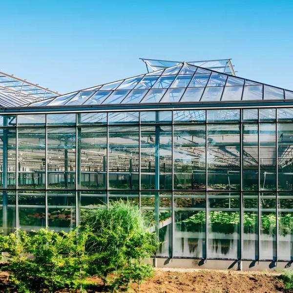 Compact Polycarbonate Venlo Greenhouse for Zinnia Planting