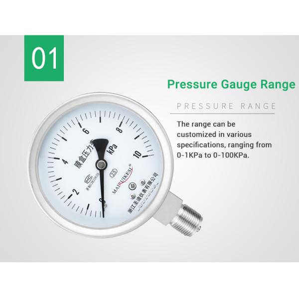Thread Customizable 304SS Stainless Steel Capsule Type Pressure Gauge 100mm Diameter