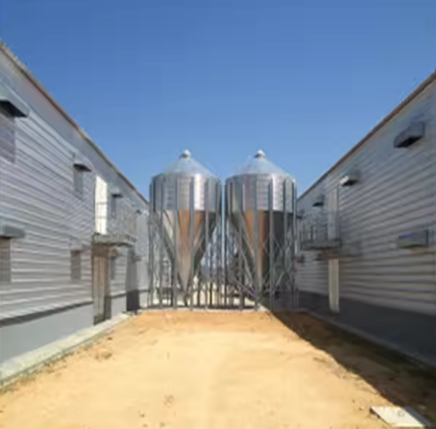 Prefab Metal Structure Building Dairy Cow Shed Goat Farming House Light Steel Frame Horse Barn Steel Structure Poultry House