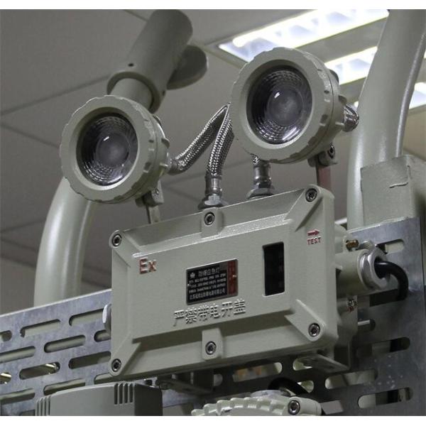 Le plafond antidéflagrant de batterie de Cd de Ni de lumière de secours du feu a