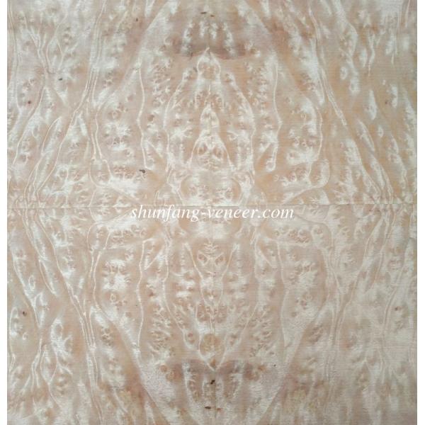 Golden Camphor Burl Paper Back Veneer | Paper Backed Golden Camphor Burl Veneer Sheets