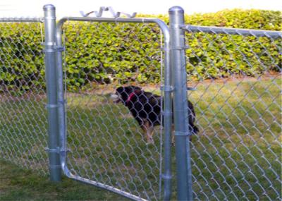 12Ft Width OD 32Mm X 1.5Mm Small Chain Link Gate For Sheep Farmers