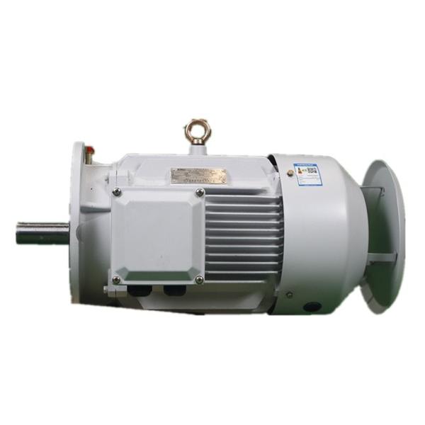 IP55 Class F High Efficiency AC Asynchronous Motor YE3 250M-2 55KW