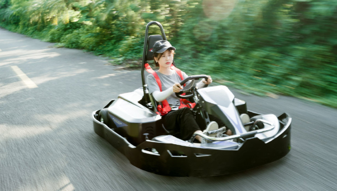 одиночный взрослый мотора 12Nm идет дистанционное управление ISO9001 Karting 75Km/H