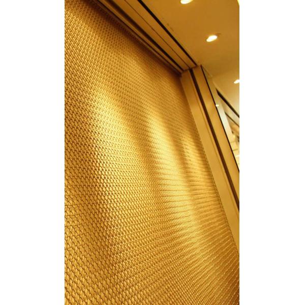 Beautiful Gold Ring Decorative Wire Mesh 1.0mm Diameter