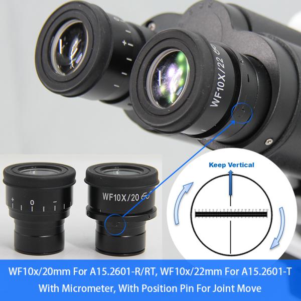 Свет поляризовывая микроскопа передавая