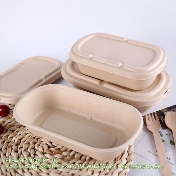 Wholesale Sugarcane Bagasse Pulp Lunch Box Takeaway Food Container Diaposiable Recyclable Sugarcane Packaging Box