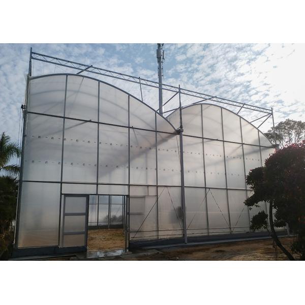 Modern Greenhouse Ventilation High Roof UV Plastic For Tropical Rainy Regions
