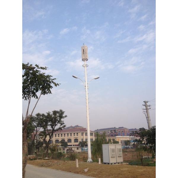 Customizable Signal Communication Monopoles Telecommunication Tower Pole