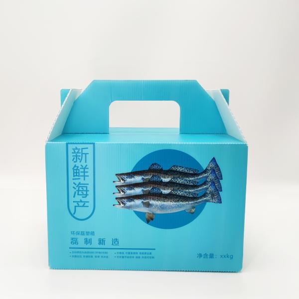 SGS Leiser Corrugated Plastic Storage Boxes Fresh Food Express