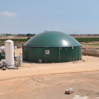 3000M3 Biogas Dome à double membrane verte, détenteur de biogaz à commande automatique