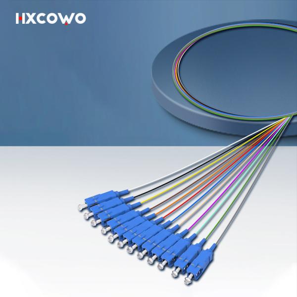 HXCOWO 12 Core Bundle SC Pigtail G657A1 A2 1 Meter Customized Length Fiber Optic Pigtail