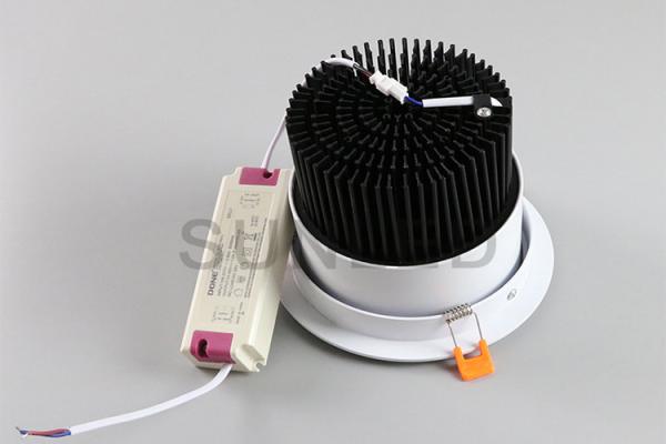 O diodo emissor de luz interno Recessed Downlight/diodo emissor de luz fresco branco morno Downlights do branco