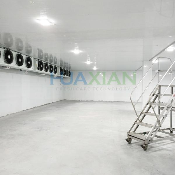 250 Sqm Mushroom Storage Copeland Compressor Unit Refrigeration Equipment