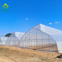 Plantation de pépinière sur mesure à dent de scie en film plastique Serre à étendue unique pour tomates