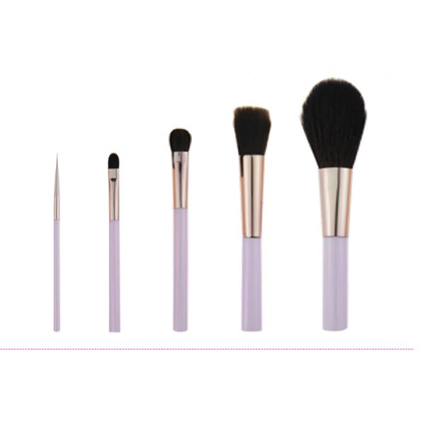 Custom Purple Plastic Handle Mini Makeup Brush Sets With Nylon Hair