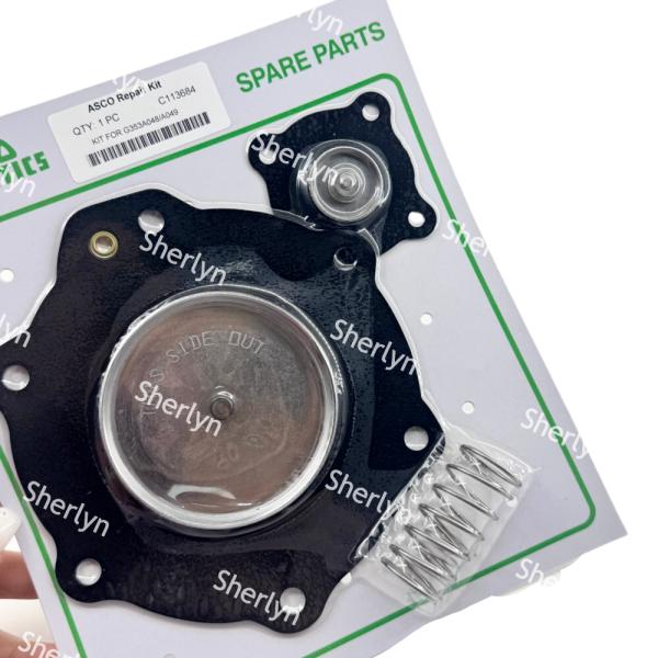 Kit de reparación de diafragma de 2 pulgadas ASCO C113684 válvula de pulso G353A049 Accesorios para recolectores de polvo