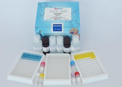 Food Safety Enrofloxacin ELISA Test Kit Rapid Assay Protocol With Strong Sensitivity