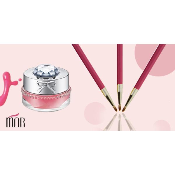 Colored Long Wearing Lip Liner Brush / Pencil Makeup Brush Cosmetics