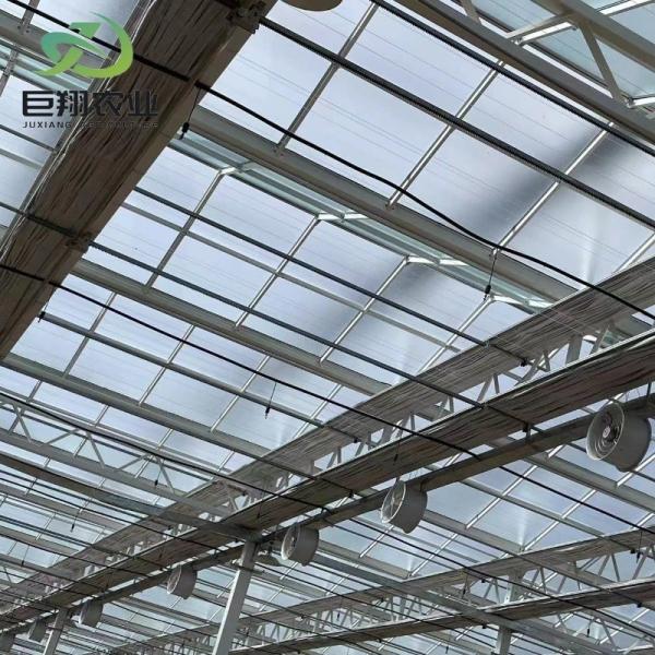 Garden Vegetables and Flowers Arched Roof Glass Greenhouse with Hydroponics System