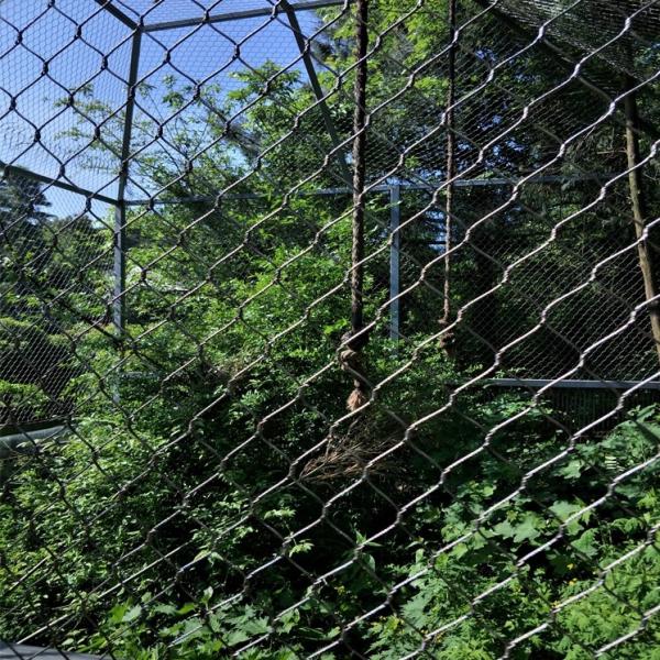 Stainless Steel Wire Rope Mesh Net / Flexible Stainless Steel Rope Mesh / Zoo Mesh