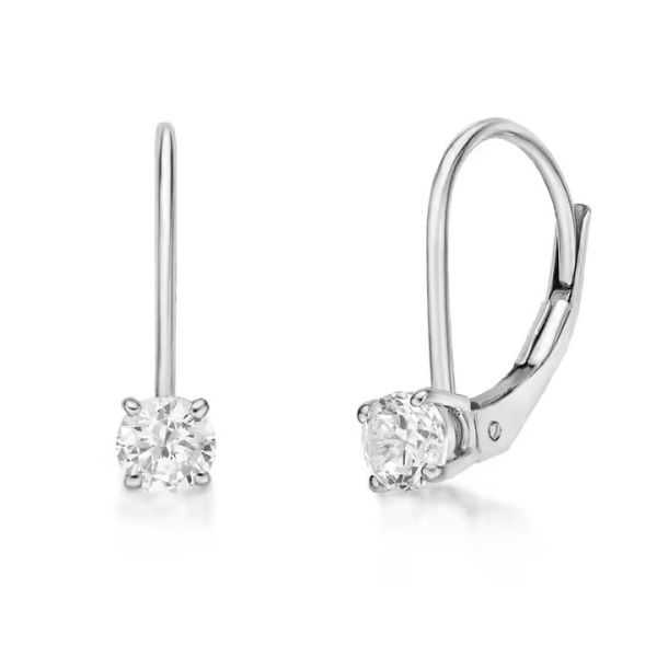 14K 18K  24KGold Plumeria Full Hoop Earrings A Must-Have for Your Jewelry Collection