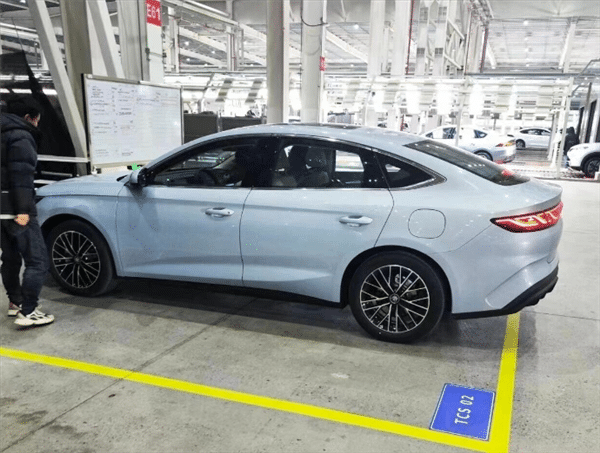 Предпродажа 2024 BYD Qinn L DM-i 80 км электромобиль приземлился скоро гибридный автомобиль 1.5T 101ps L4 Новый Engergy Car