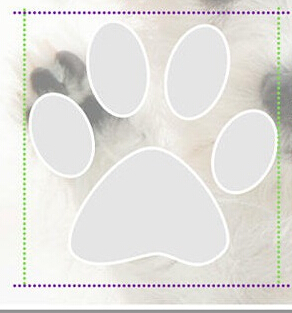 Colorful puppy shoes for dogs Rubber Water Protective Pet Shoes Booties Waterproof Rain