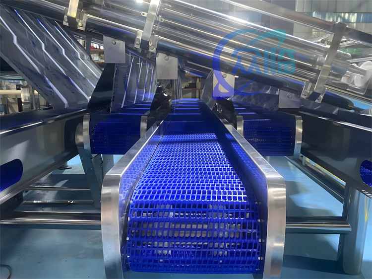 Fresh Prawn Washing Rolling Sorting Machine 1200KG Shrimp Grader Machine