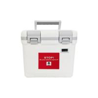 Boîte de stockage d'insuline pour les voyages
