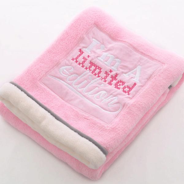Travel 30x40 Soft Newborn Blanket Fuzzy Toddlers Fleece Weighted Throw Blanket