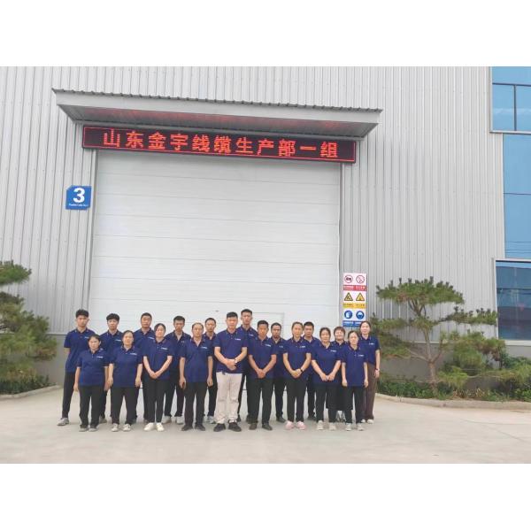 35 мм Алюминиевый 2-ядерный силовой кабель подземный для промышленного строительства