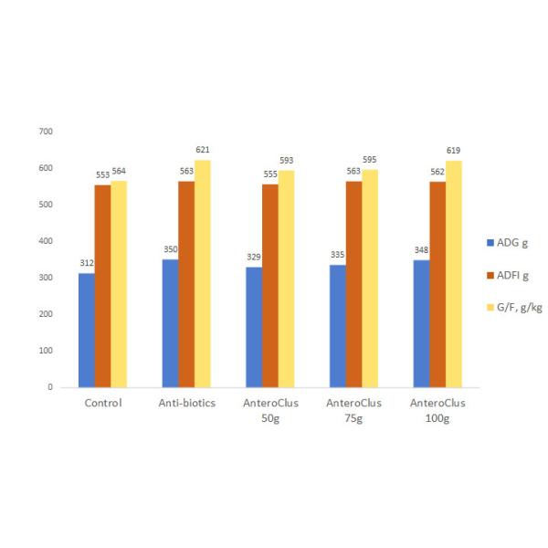 Форма зерна 10,2 миллиарда Cfu/G Multispecies Probiotics для поголовья