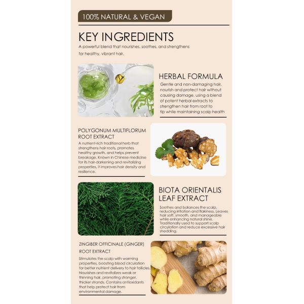Home Hair Dye Set Ammonia Free Men Women Herbal Formula OEM Premium Hair Dye Factory  Supply
